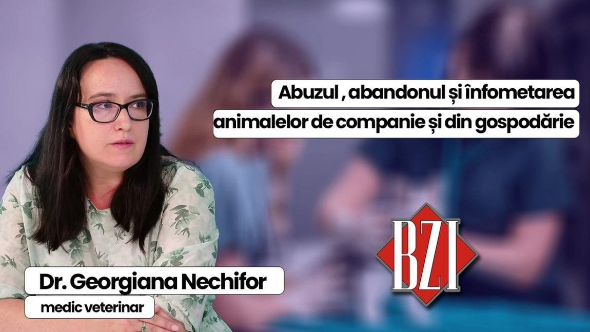 LIVE VIDEO - Dr. Georgiana Nechifor, medic veterinar, discută în emisiunea BZI LIVE despre cazurile de abandon, ori maltratare a animalelor de companie, sau gospodărie 