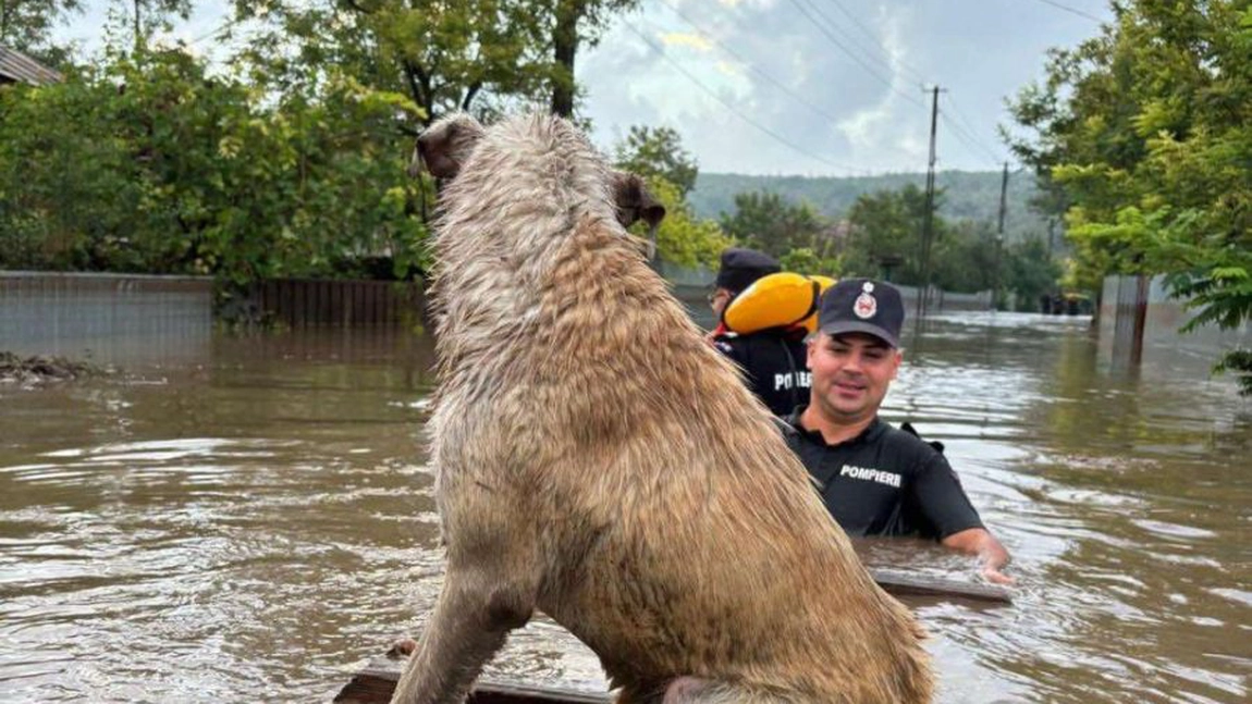 Ce trebuie să facă oamenii ca să evite situațiile de risc cauzate de fenomenele meteorologice