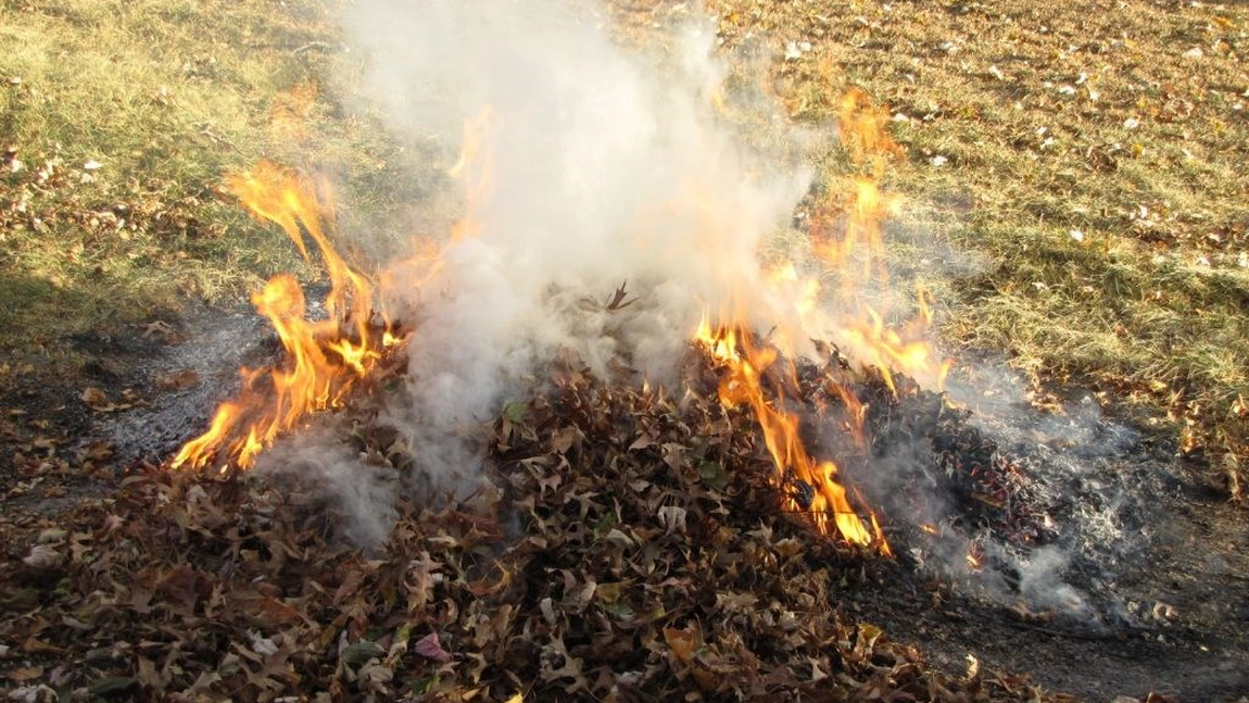 Obiceiul românilor pentru care pot primi amenzi uriașe! Mulți fac asta în fiecare toamnă