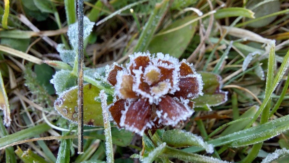 Temperaturi de iarnă la începutul toamnei: 0 grade Celsius resimțite la Miercurea Ciuc.