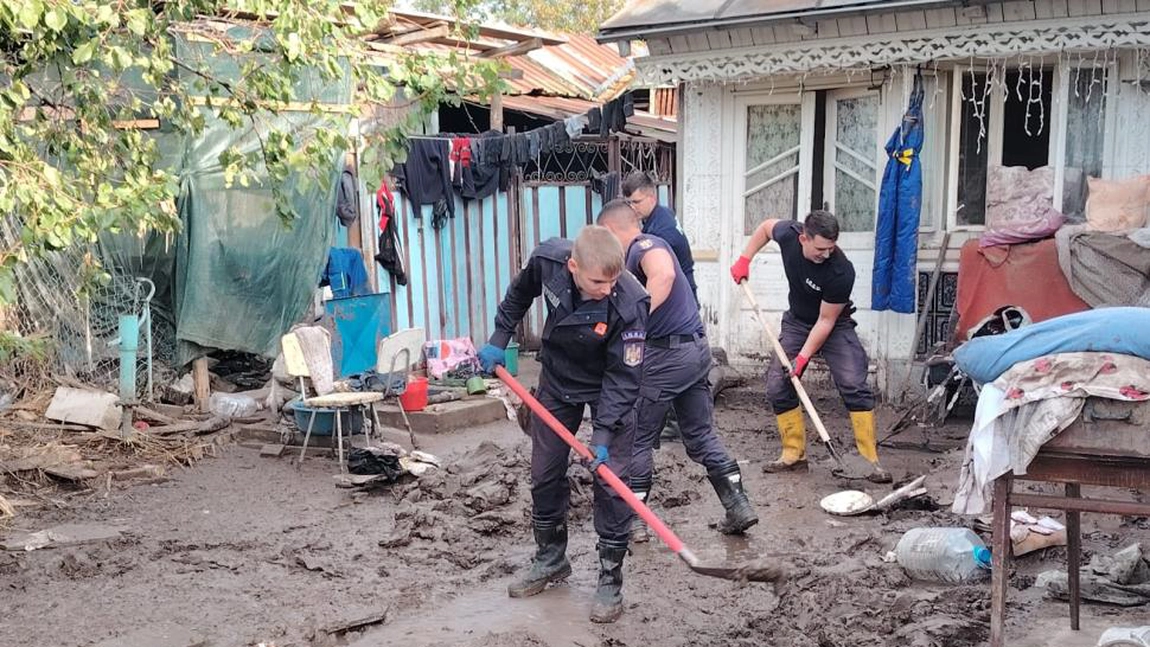 Mii de vaci, oi și păsări au fost luate de ape, iar acum provocarea este găsirea lor în noroiul lăsat de inundații: „Vezi ce e viu și ce e mort”