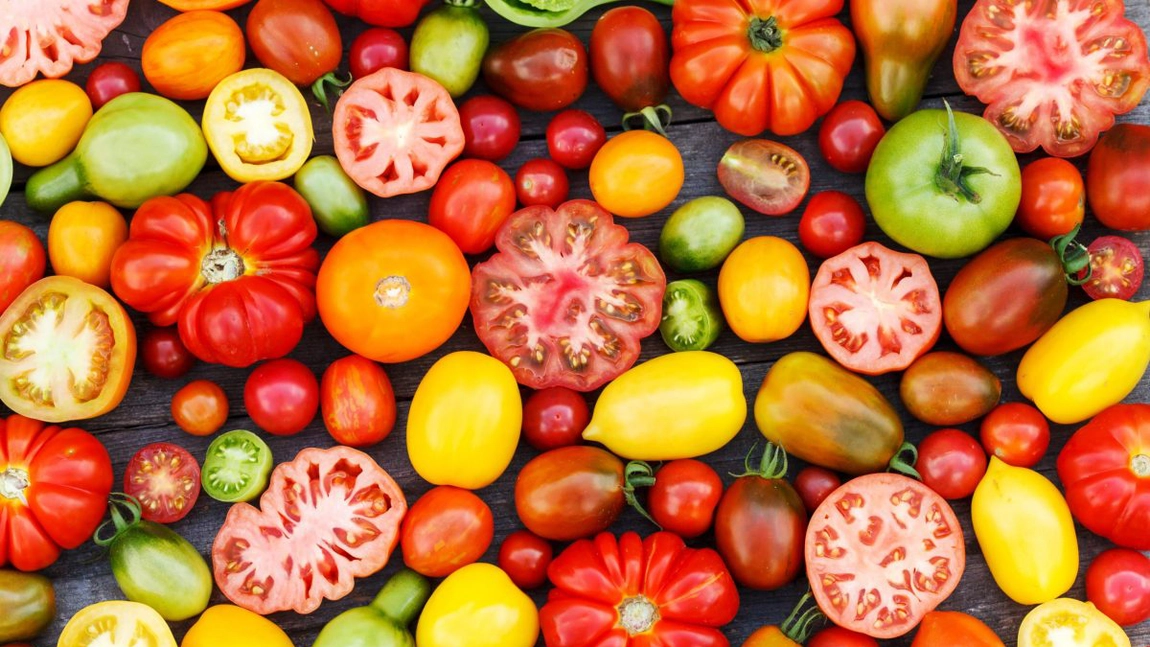 Păstrarea semințelor de roșii. Cum să recoltezi și cum să usuci tomatele