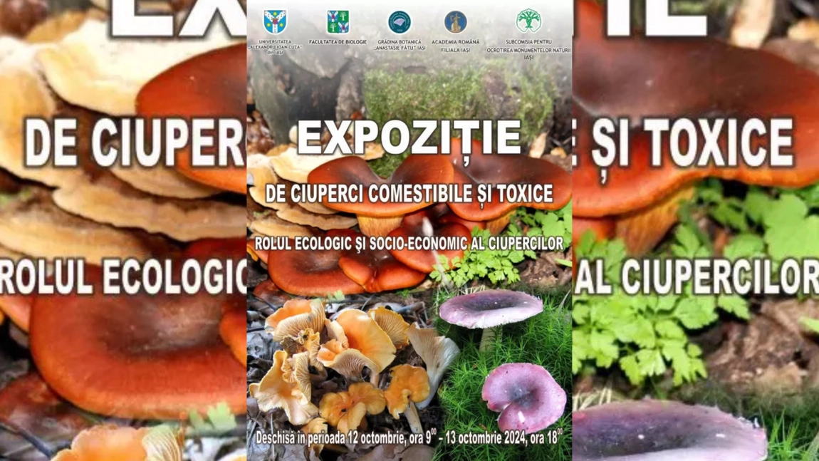 Expoziţie de ciuperci comestibile şi toxice, organizată de specialiştii de la Grădina Botanică „Anastasie Fătu” și UAIC Iași