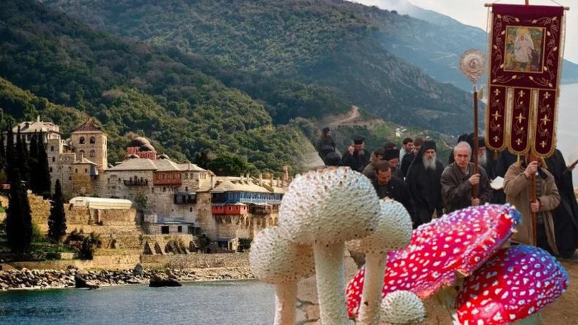Pelerini români, internaţi după ce au mâncat „leguma diavolului”! Ce s-a întâmplat pe Muntele Athos