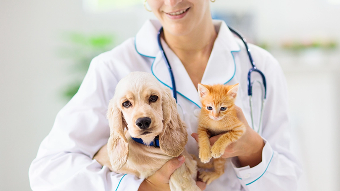 Proprietarii de câini și pisici își pot clona animalele de companie! Unde se află laboratorul de clonare