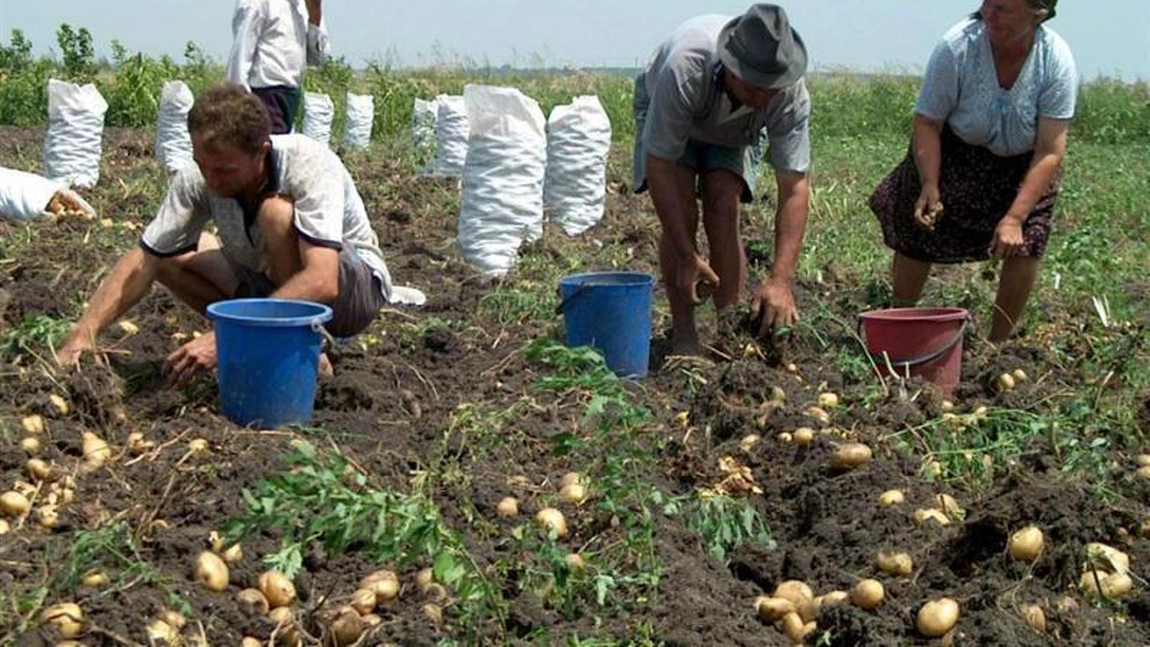 Câți bani ia un zilier în România: Tariful minim pe oră a fost majorat!
