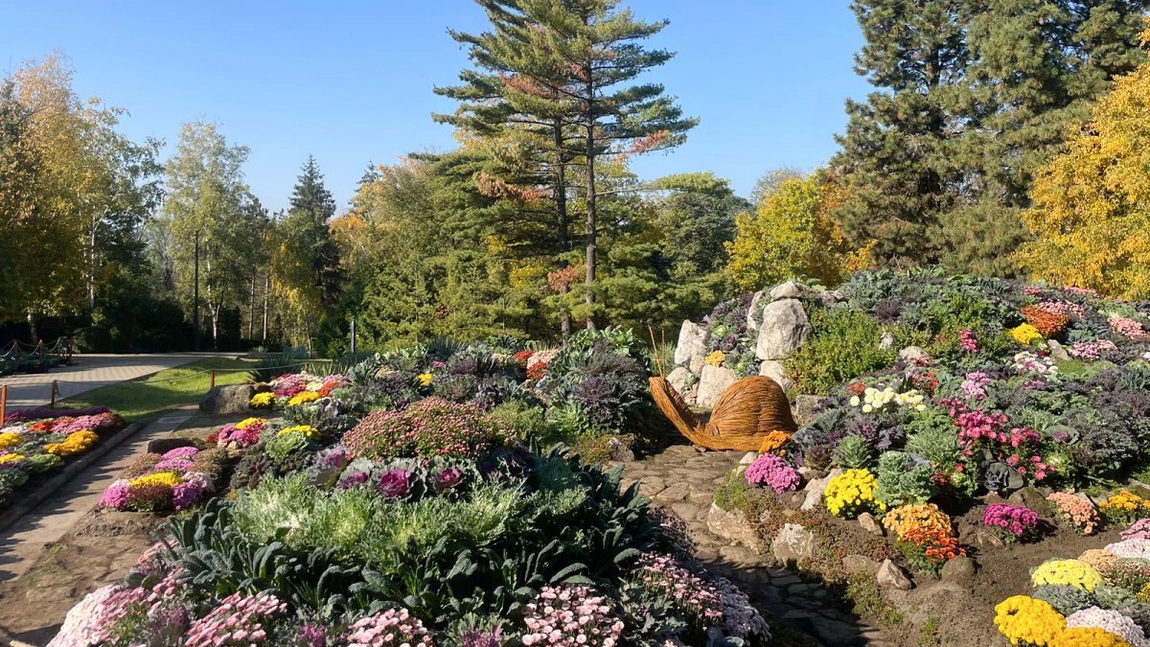 Debut spectaculos al expoziției „Flori de Toamnă” la Grădina Botanică din Iași! Sute de ieșeni au participat la eveniment