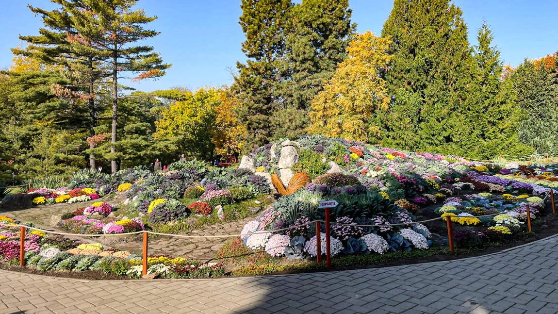 S-a deschis expoziția „Flori de toamnă” la Grădina Botanică din Iași. Este unul dintre cele mai așteptate evenimente din oraș