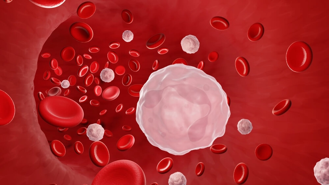 Care sunt valorile normale ale leucocitelor și care sunt cele care indică risc de cancer?