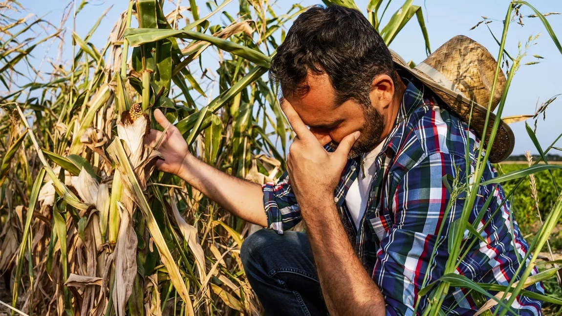 Se pregătește un nou plan Valev?! Agricultorii români lăsați să falimenteze, iar corporațiile să cumpere teren la prețuri derizorii