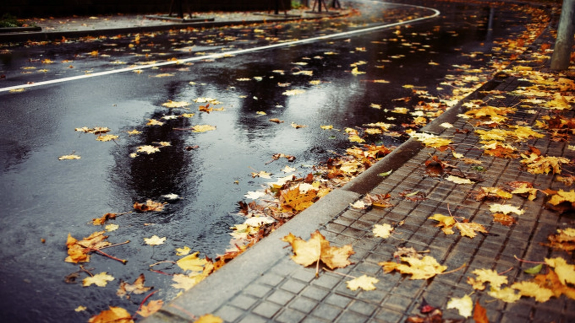 România sub asediul ploilor! Precipitații intense lovesc aceste județe în următoarele săptămâni