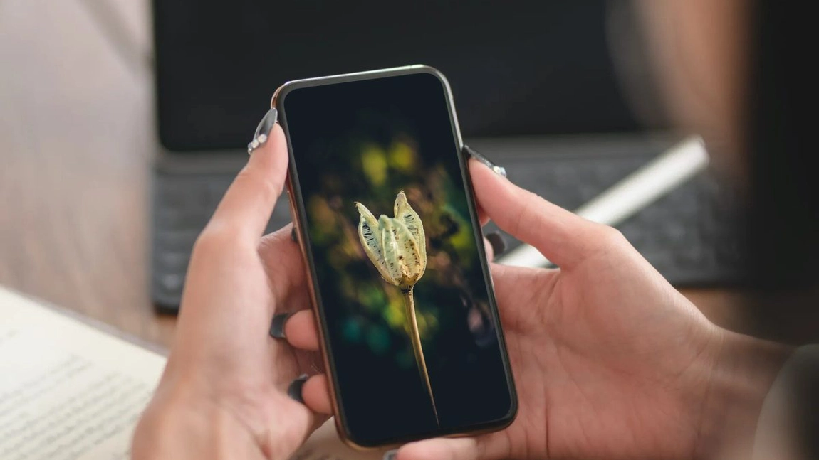 Cum să optimizezi telefonul ca să funcționeze perfect. Pașii simpli pe care toată lumea îi poate face