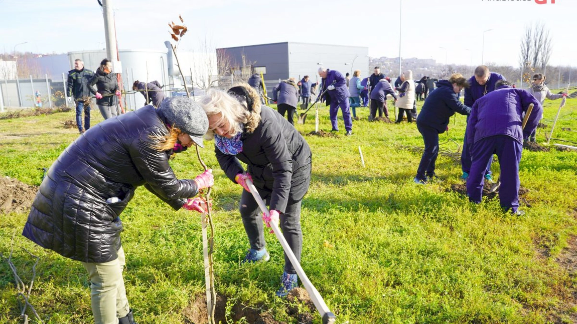 Angajații Antibiotice au plantat 500 de arbori