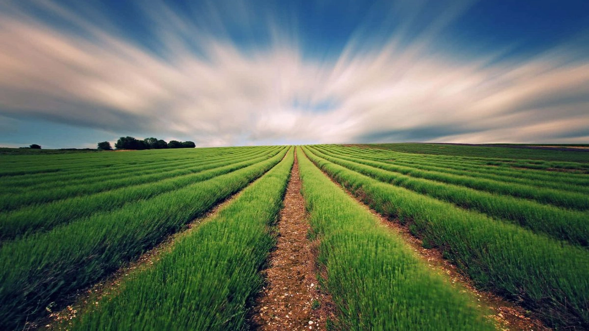 Ce loc ocupă România în domeniul agricol din UE. Analiza care pune țara noastră în lumină