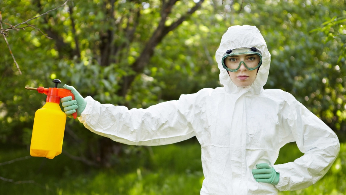 Insecticide pentru plante de la CropMarket: cum să protejezi grădina împotriva dăunătorilor