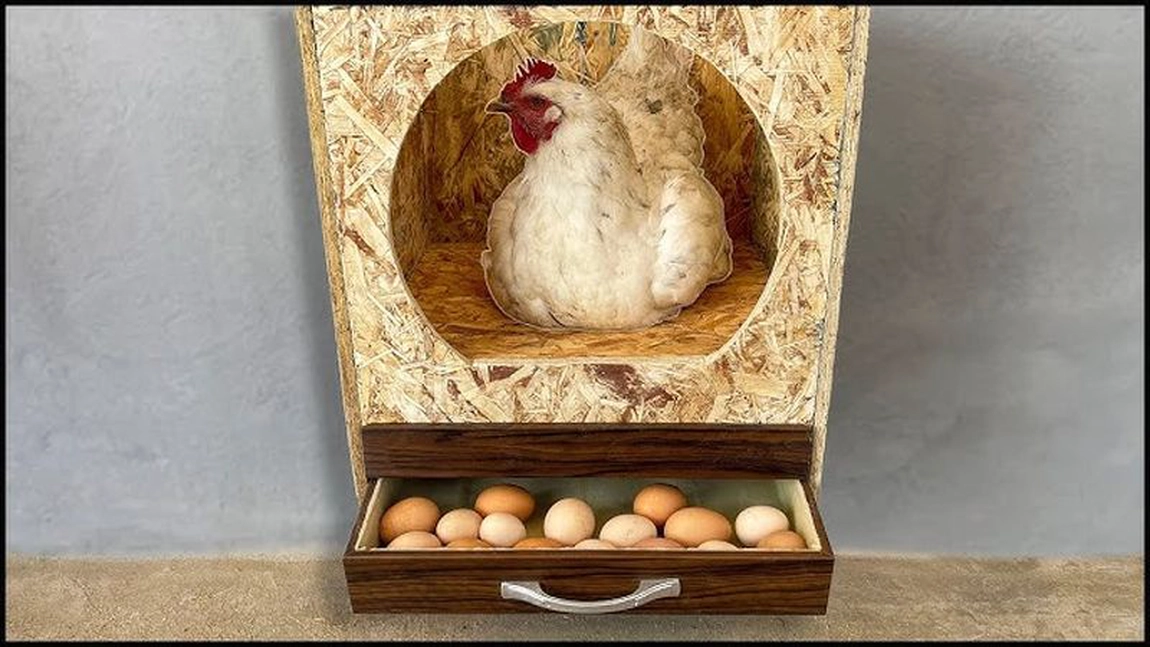 Cum pregătești cuibarele pentru găinile care mănâncă ouăle