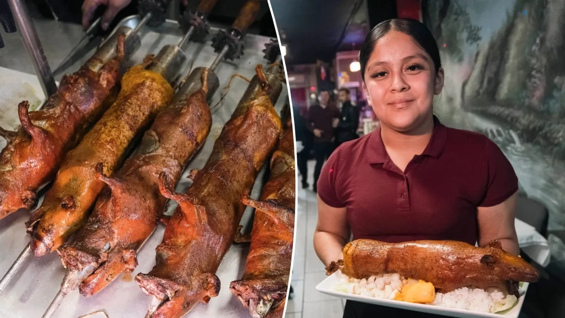 Ai curajul să încerci această delicatesă? Porcușor de Guineea la grătar, noua vedetă culinară: „Este mai bun decât puiul