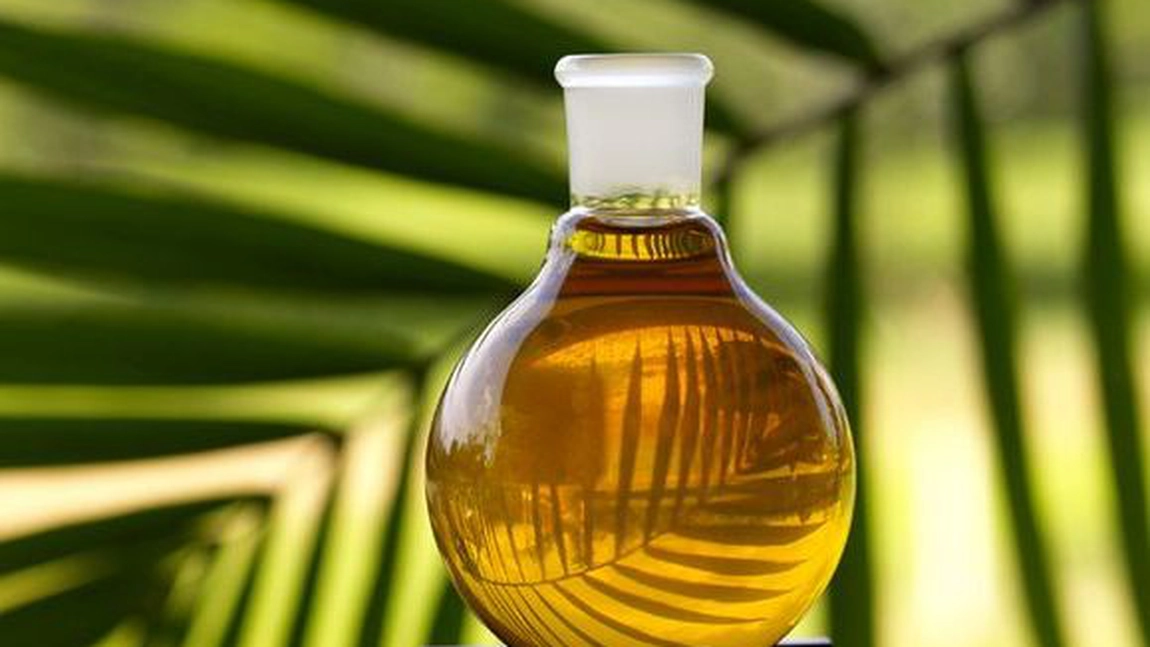 Uleiul de palmier, beneficii și efecte secundare. La ce poate fi folosit