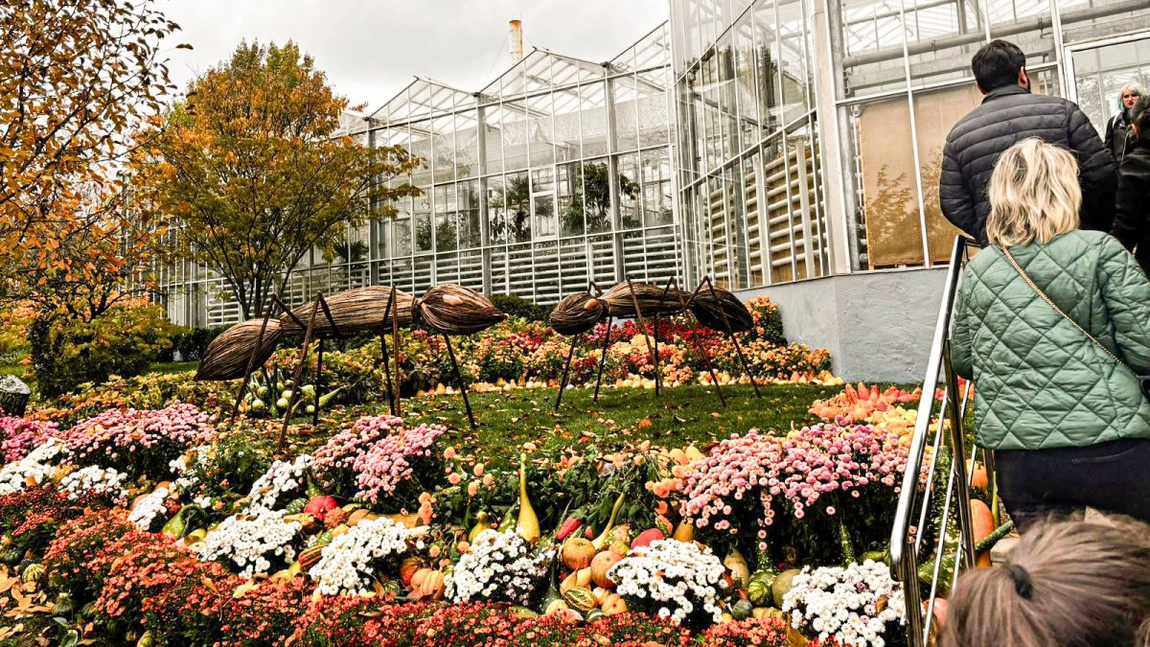 Zeci de mii de vizitatori, în prima săptămână, la expoziția „Flori de toamnă” de la Grădina Botanică din Iași