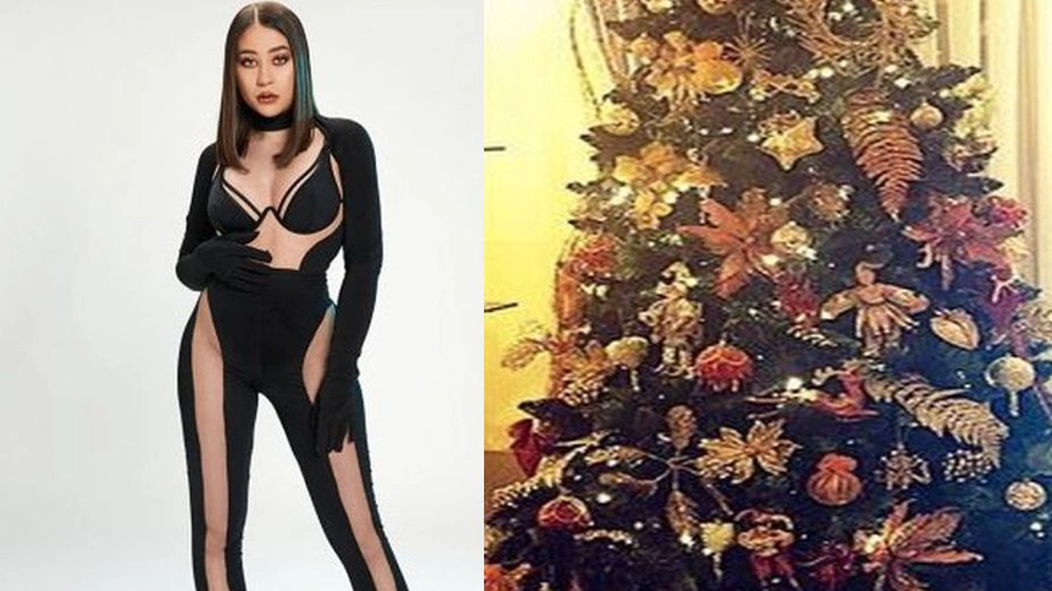 Nicole Cherry și-a făcut cel mai frumos brad de Crăciun! Fanii au observat un detaliu ascuns
