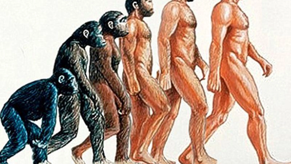 Evoluția omului, de la origini până în prezent