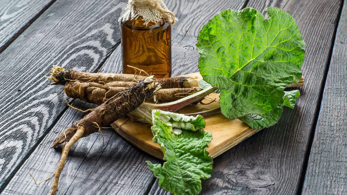 Frunza de brusture în remediile naturiste. Beneficii și utilizări în medicina naturală