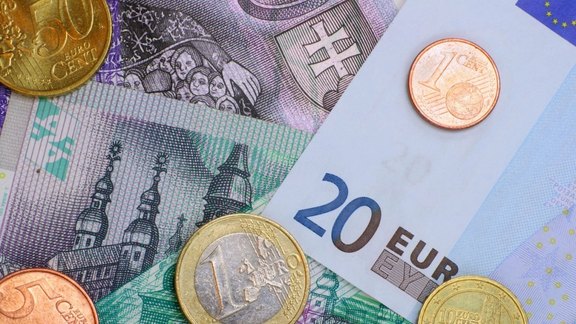 Republica Moldova trece de la dolar la euro ca monedă de referinţă