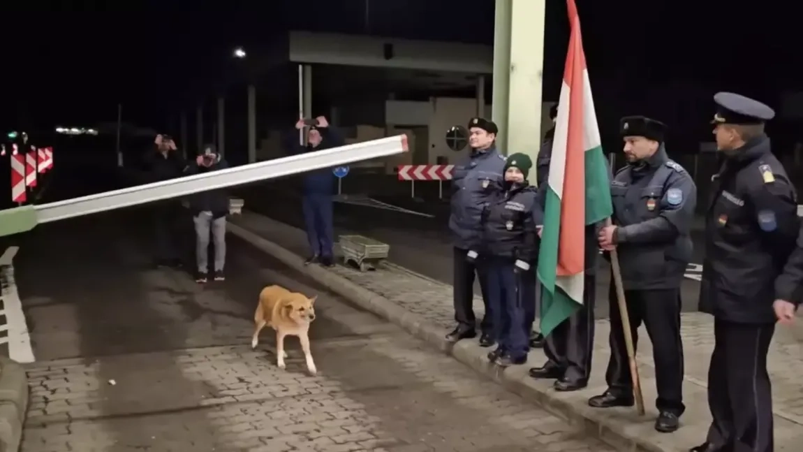 Un căţel care a trecut primul frontiera Schengen, aplaudat de vameșii români
