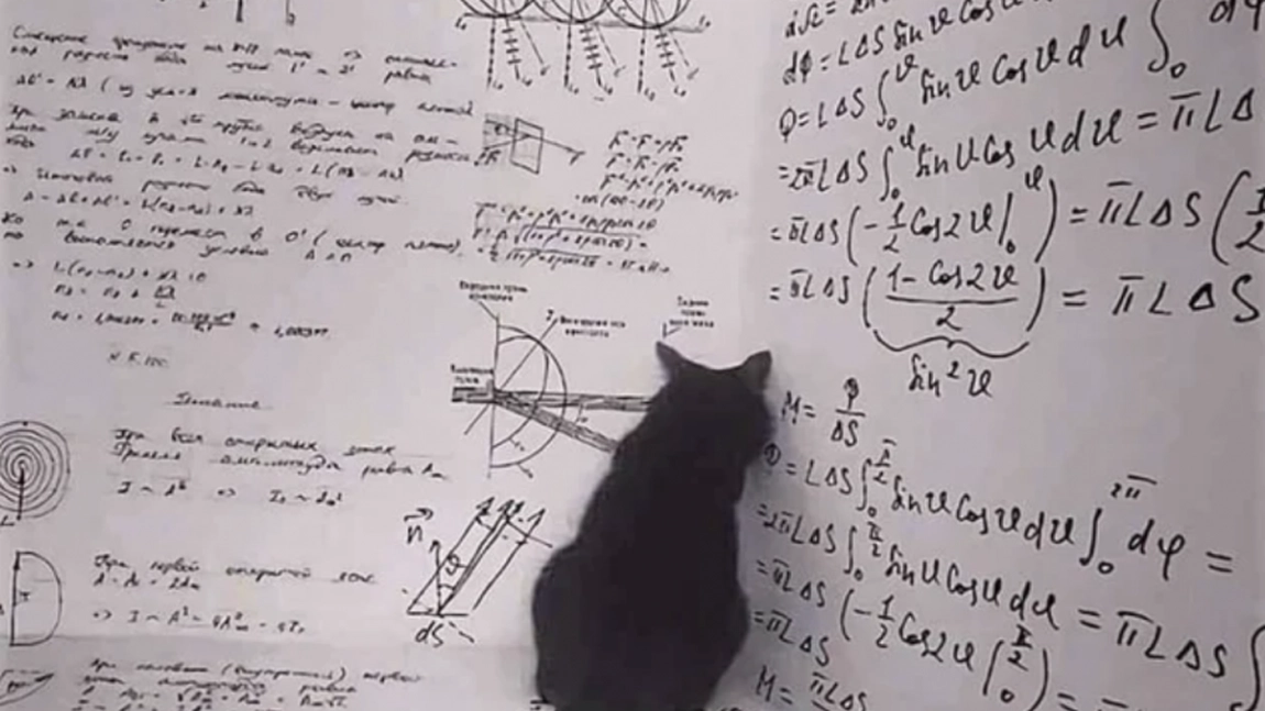 Paradoxul lui Schrödinger-Cum a fost fizica cuantică explicată cu ajutorul unei pisici