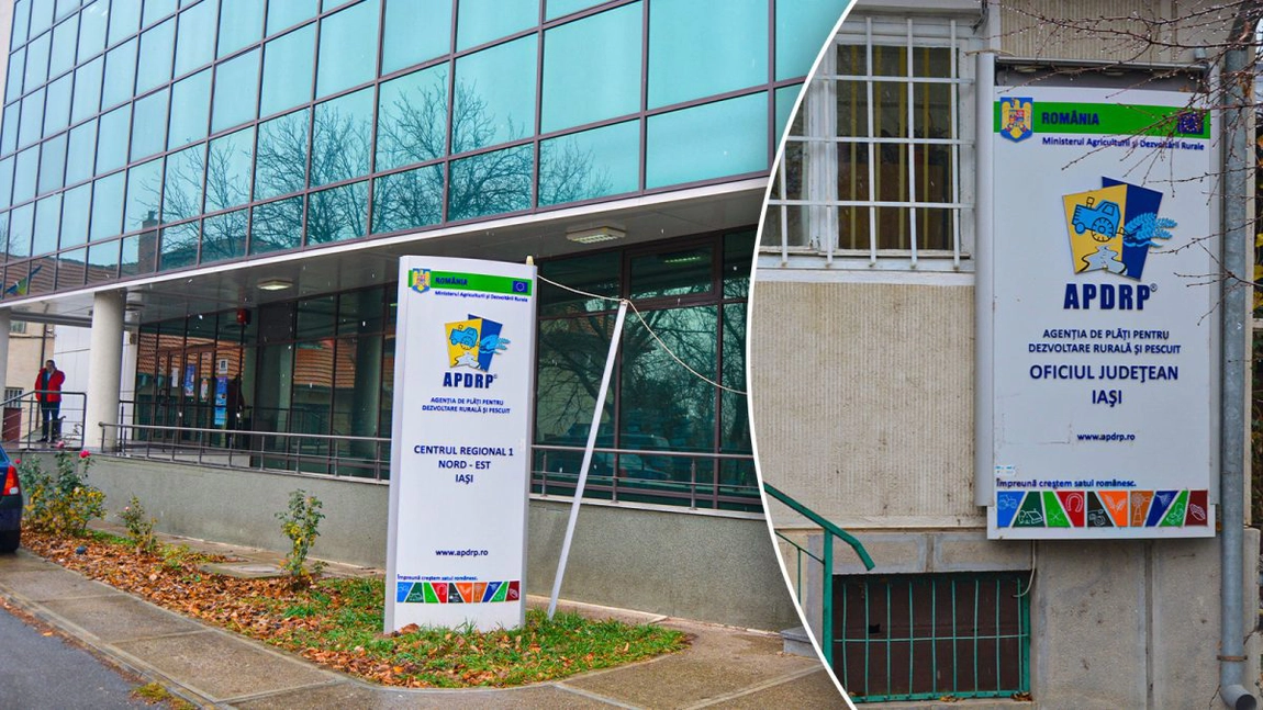 Noi plăți către tinerii fermieri din Iași! Ce fonduri europene primesc beneficiarii la început de an