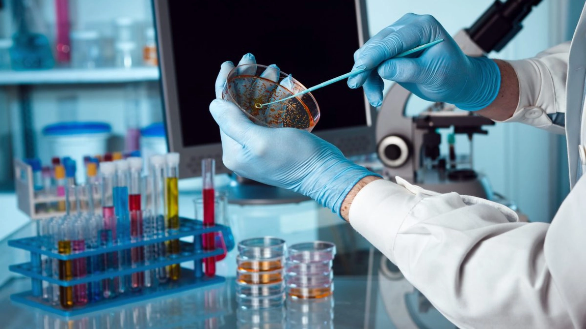 Cât costă un set de analize de laborator în Iași la Synevo, Clinica Sante, Bioclinica și Arcadia