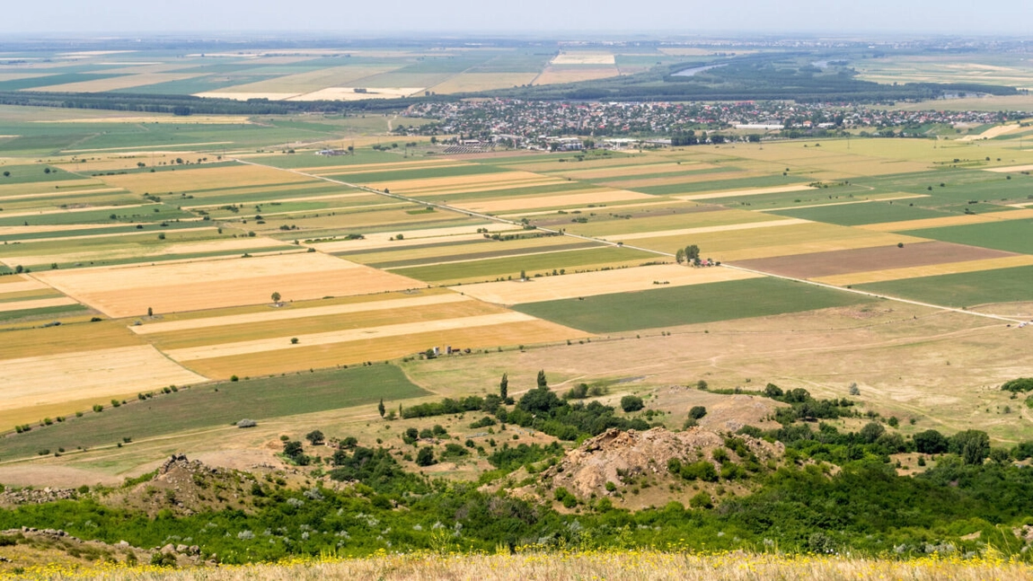 Cât au ajuns să coste terenurile agricole! Regiunile cu cele mai mari prețuri