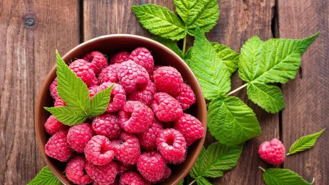 Zmeura, beneficii și proprietăți. În ce rețete delicioase poți integra fructele de pădure