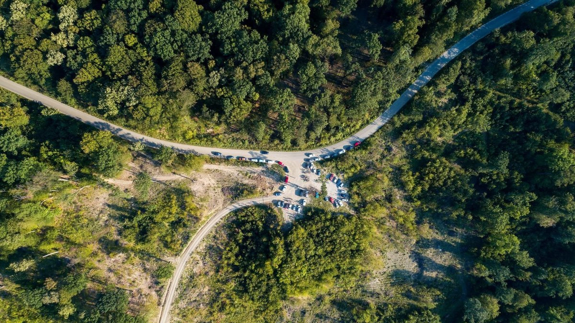 Comunitatea Codrii Iașilor sărbătorește 6 ani de la înființare prin diverse activități