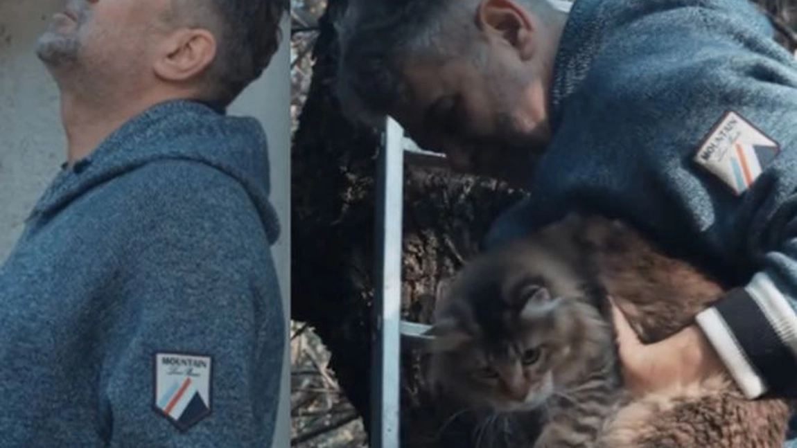 Cât costă hanoracul lui Ciolacu purtat ca să dea jos pisica din copac: Un român de rând câștigă banii ăștia într-un an!