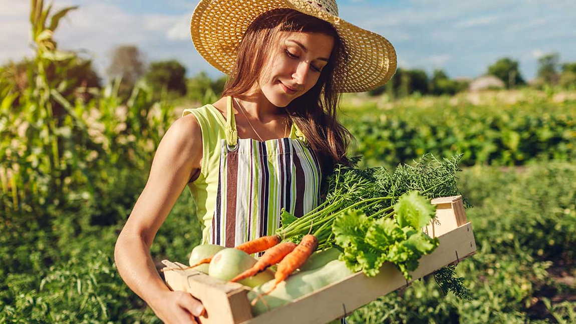 Idei de afaceri la țară, cu 5000 de euro. Ce oportunități profitabile există pentru antreprenorii din mediul rural