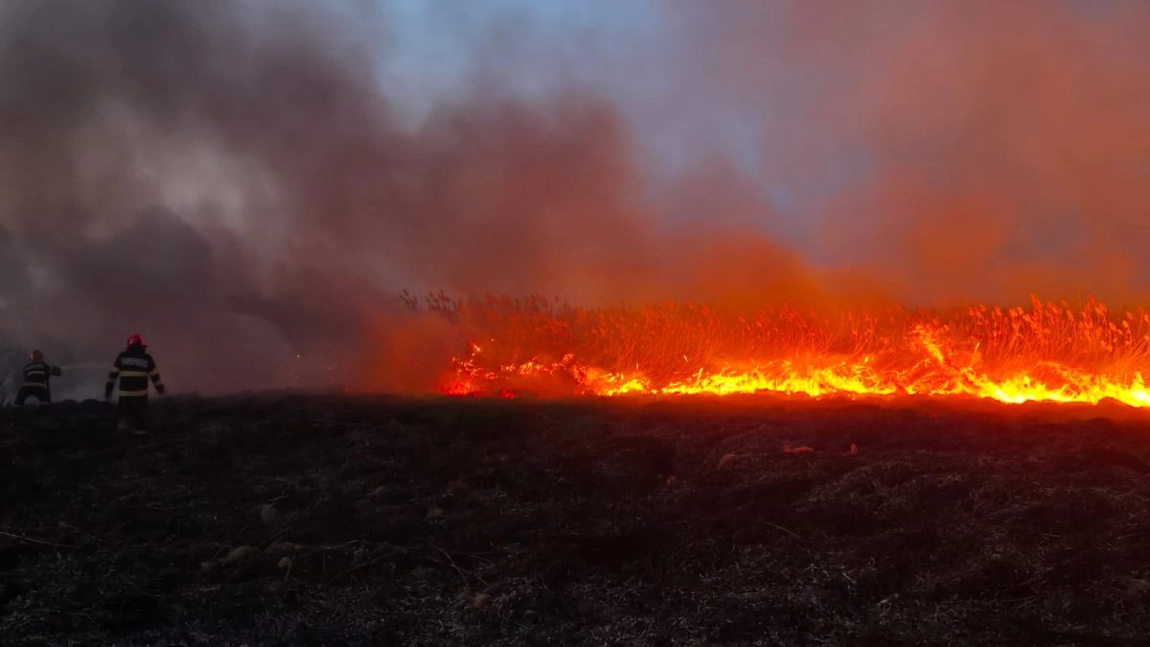 Incendiu de vegetație uscată în Voinești! Pompierii intervin