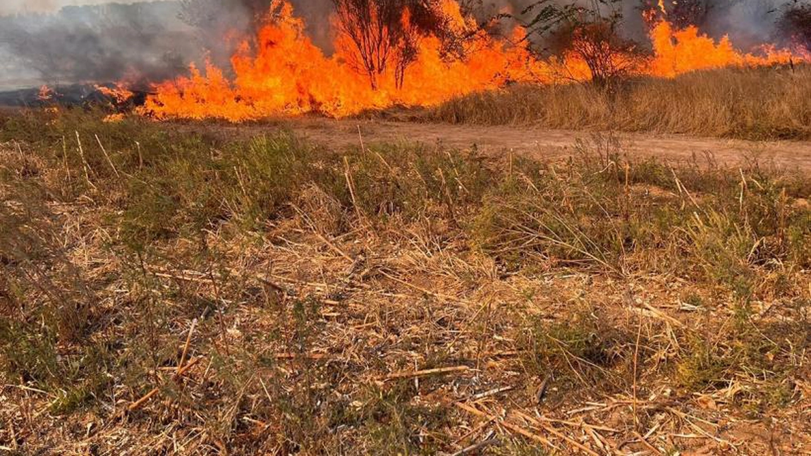 Incendiu de vegetație uscată în Miroslava! Pompierii ieșeni intervin