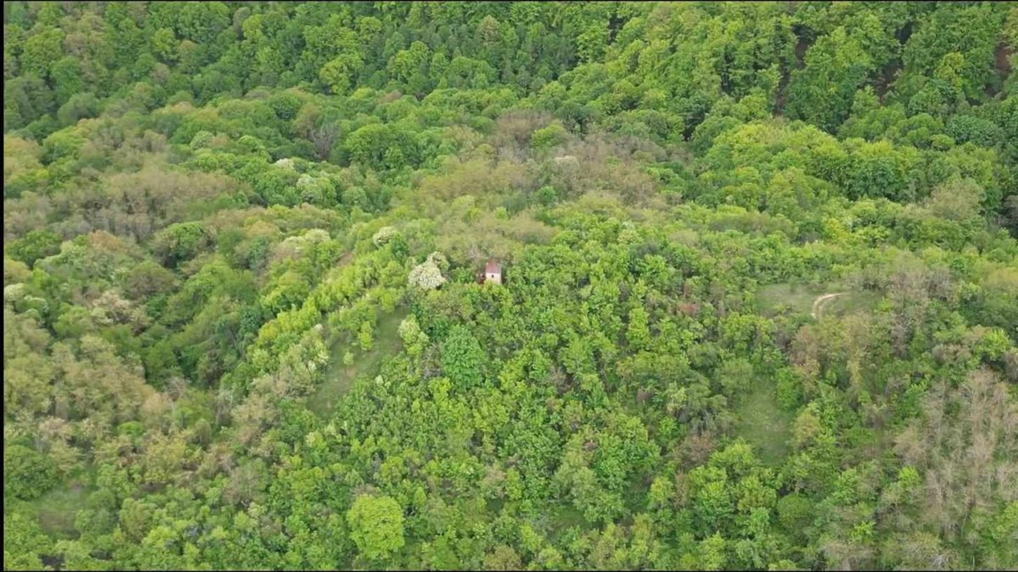 A scăzut volumul de material lemnos tăiat ilegal în județul Iași. Direcția Silvică a aplicat amenzi în valoare de 33.800 de lei