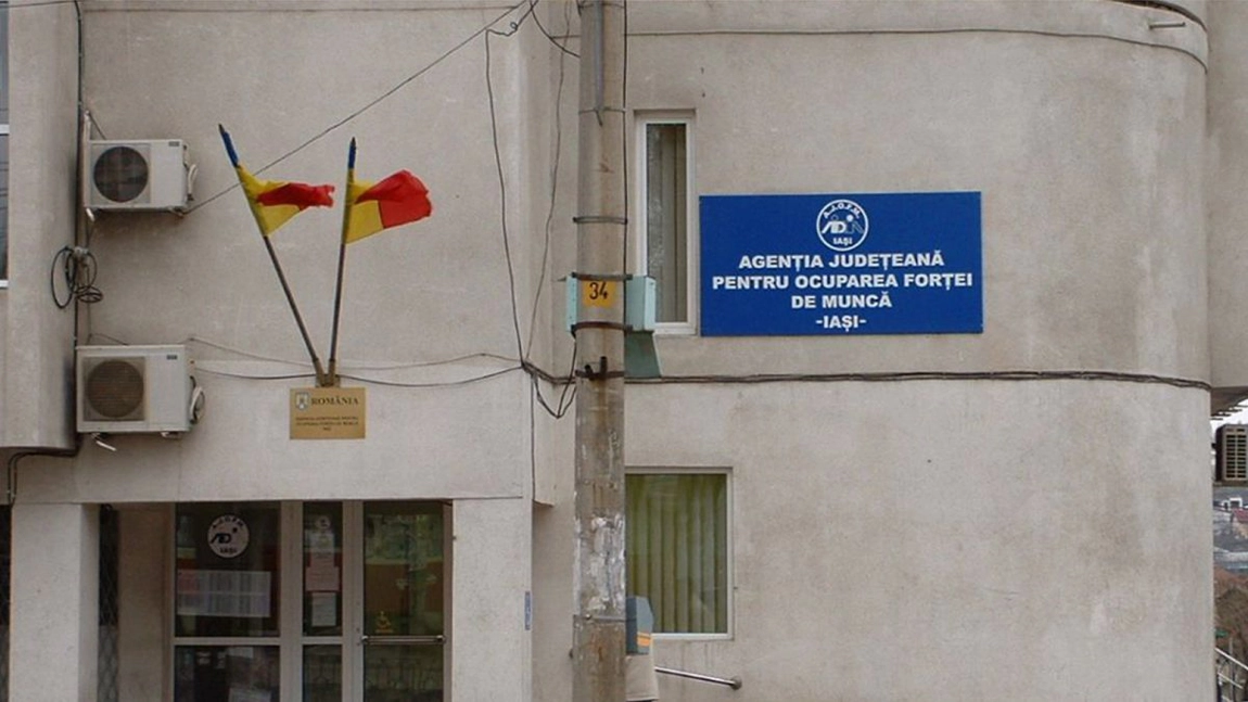 Ce locuri de muncă sunt disponibile în Iași, în luna februarie 2025? Anunțurile de angajare au fost publicate pe site-ul AJOFM