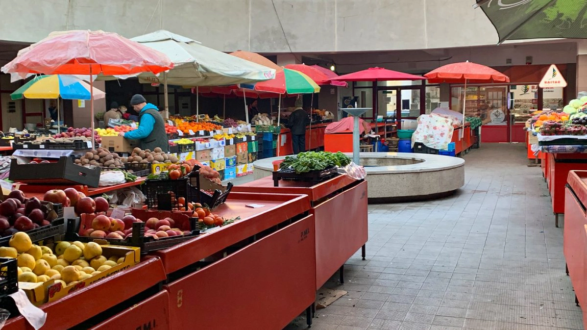 Primele roșii românești vor fi pe piața din Iași în luna mai 2025. Producător: „Dacă vremea ține cu noi, vom avea un an bun”