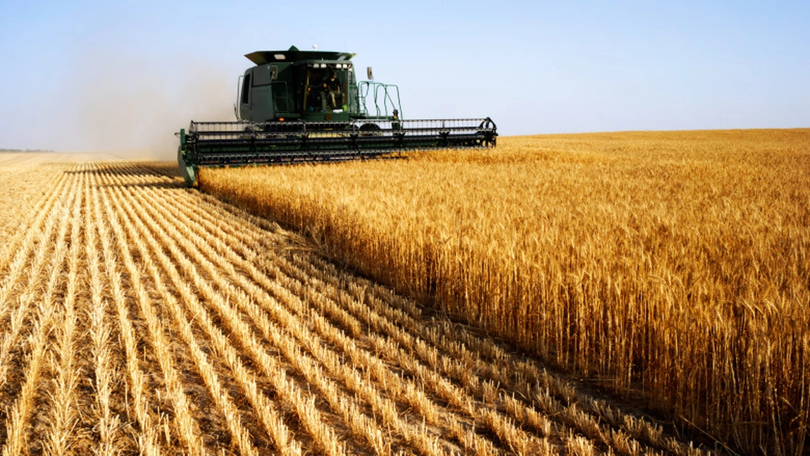 Țara care investește în terenurile agricole din România! Ce sume primesc proprietarii români