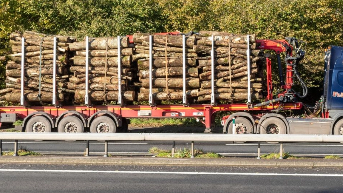 Verificări privind trasabilitatea materialelor lemnoase în județul Iași, realizate pe baza avertizărilor generate de inteligența artificială