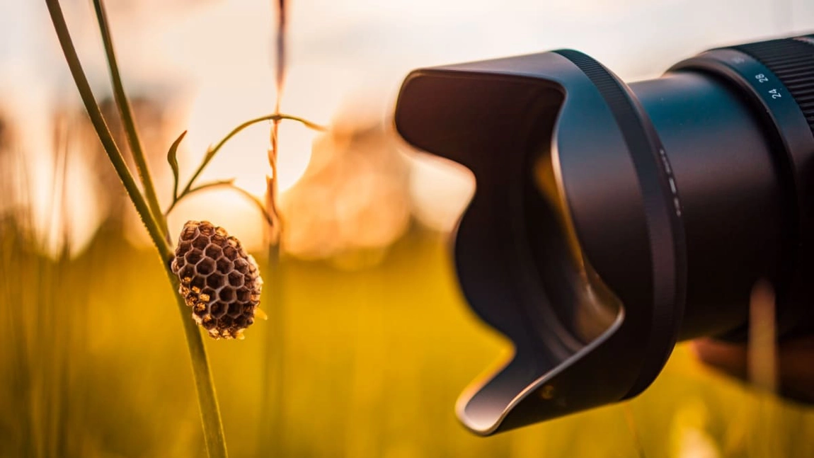 Macro photography: cum să surprinzi detalii incredibile cu obiectivul potrivit?