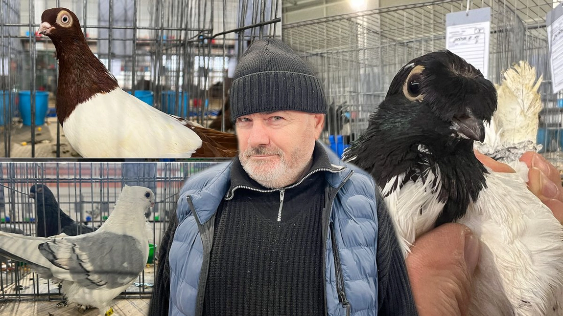 Constantin Ganicenco este columbofilul din Iași cu cea mai impresionantă colecție de porumbei: „Strângeam banii de covrigi ca să îmi cumpăr aceste păsări”