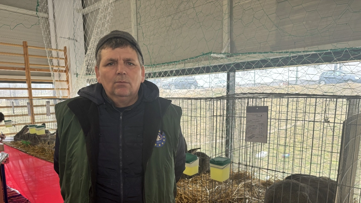Vasile Maștaleru colecționează de 10 ani iepuri din rasa Uriașul German. Acesta a obținut titlul de vicecampion și campion național la concursurile de profil