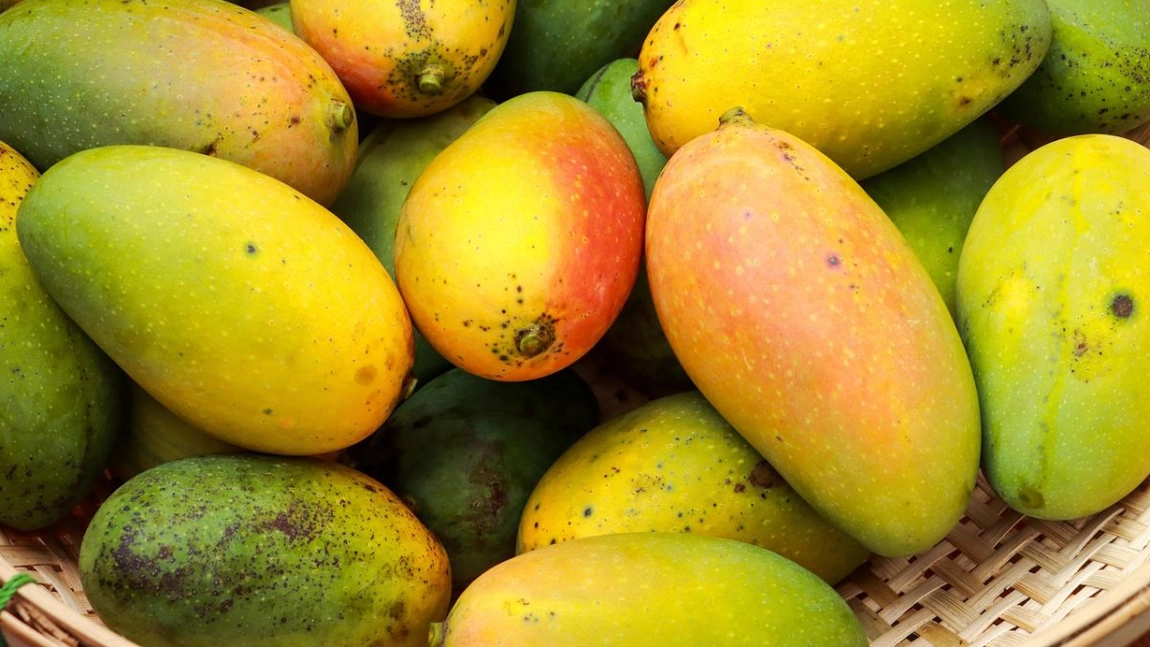 Când e copt un mango. Cum să alegi cele mai savuroase fructe pentru rețete cu gust tropical