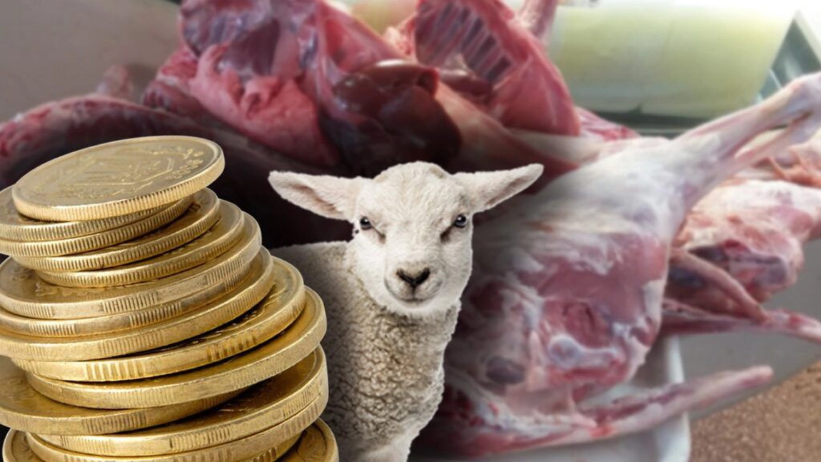Iată cu cât se vinde 1 kg de miel, cu 3 săptămâni înainte de Paște. Prețul record la care s-a ajuns