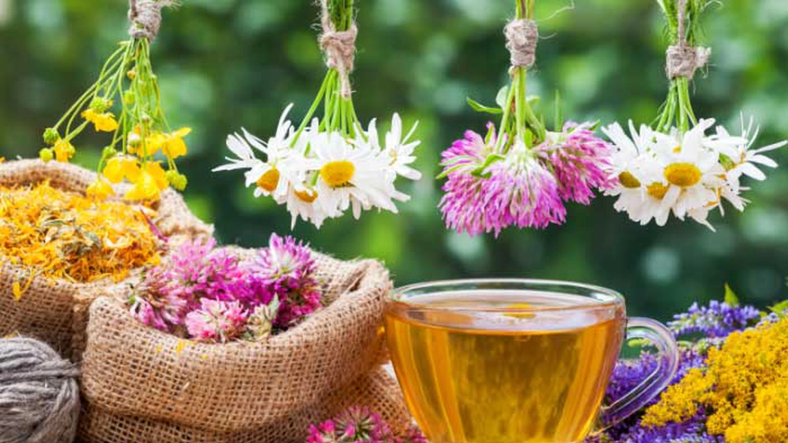 Ceai de rostopască. Pentru ce e bun și ce beneficii are remediul natural