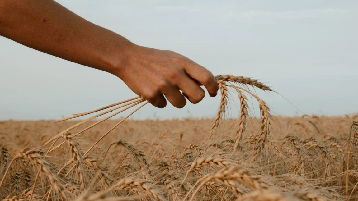 Ucraina încearcă să convingă partenerii europeni să prelungească acordul care scuteşte produsele agricole ucrainene de la plata taxelor